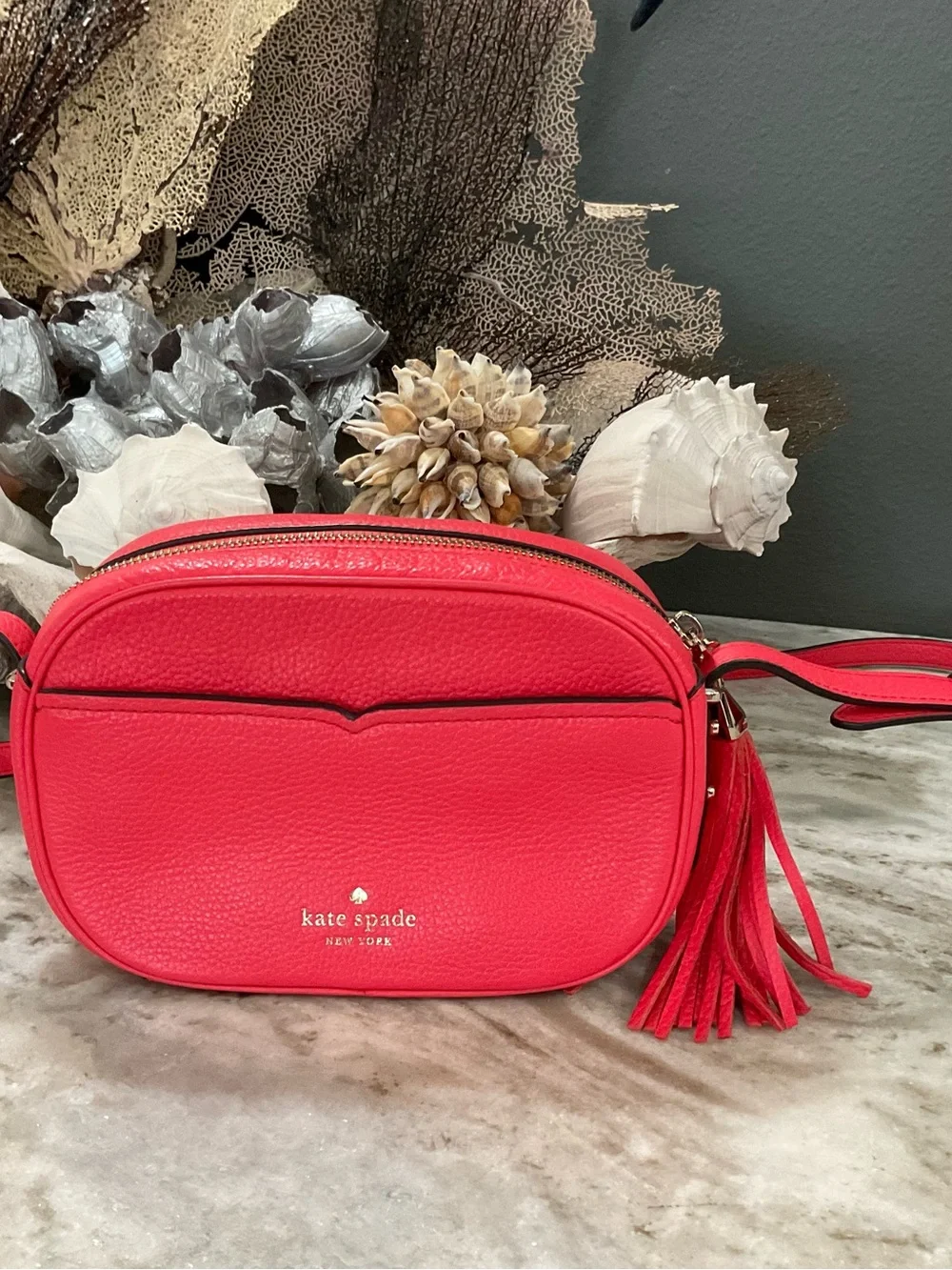 kate spade Kourtney Camera Bag and Wallet in Stoplight